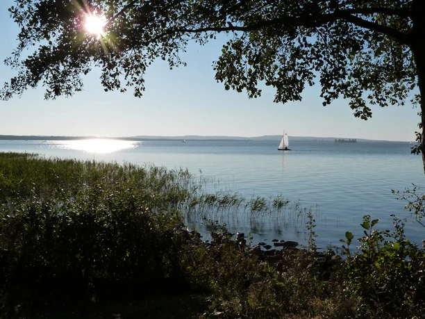 Steinhude Westpromenade Sailing boat on glittering water on the Steinhuder Meer, framed by trees in the sunshine.