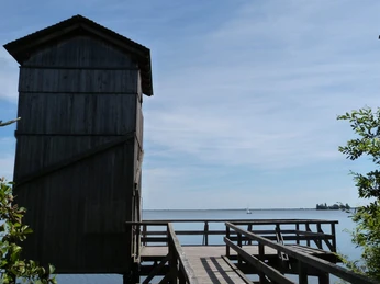 Winzlar Aussichtsturm Holzturm mit Treppe am Seeufer, umgeben von Bäumen, mit klarem blauen Himmel im Hintergrund.Wooden tower with stairs on the lakeshore, surrounded by trees, with a clear blue sky in the background.Trætårn med trapper på søbredden, omgivet af træer, med en klar blå himmel i baggrunden.Houten toren met trappen aan de oever van het meer, omringd door bomen, met een helderblauwe lucht op de achtergrond.