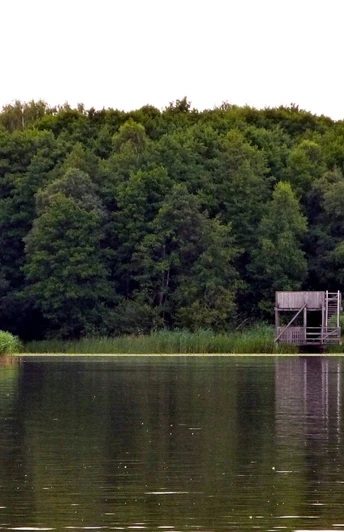 Holzturm am ruhigen Seeufer, umgeben von dichtem Wald, mit klarer Wasserspiegelung im Vordergrund.