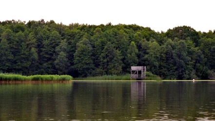 Aussichtsturm Neue Moorhütte Wasserseite Holzturm am ruhigen Seeufer, umgeben von dichtem Wald, mit klarer Wasserspiegelung im Vordergrund.