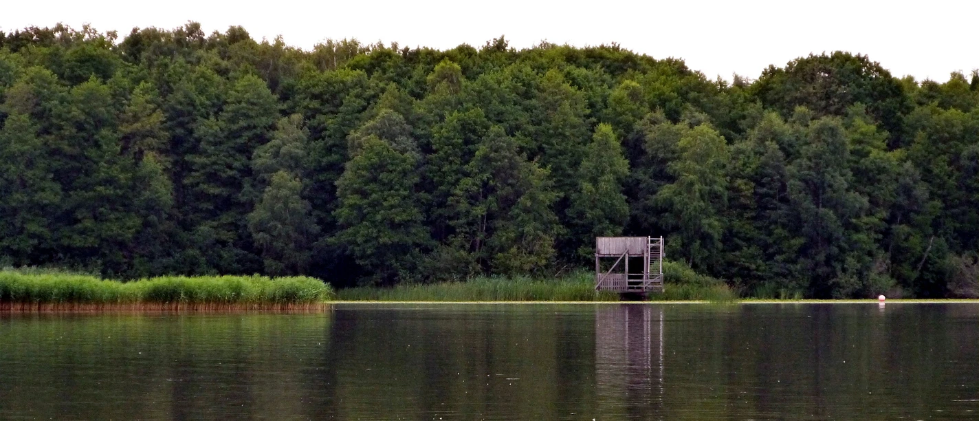 Aussichtsturm Neue Moorhütte Wasserseite Wooden tower on the quiet lakeshore, surrounded by dense forest, with a clear water reflection in the foreground.