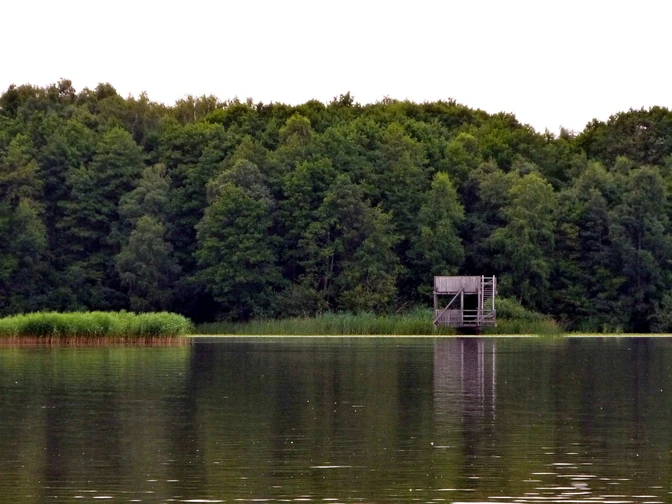 Aussichtsturm Neue Moorhütte Wasserseite Holzturm am ruhigen Seeufer, umgeben von dichtem Wald, mit klarer Wasserspiegelung im Vordergrund.Wooden tower on the quiet lakeshore, surrounded by dense forest, with a clear water reflection in the foreground.Trætårn på den stille søbred, omgivet af tæt skov, med en klar vandspejling i forgrunden.Houten toren aan de stille oever van het meer, omringd door dicht bos, met een heldere waterreflectie op de voorgrond.