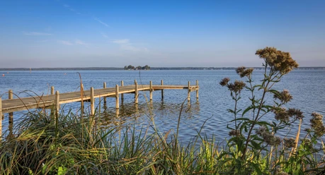 Steg an der Mündung des Hagenburger Kanals Ein Holzsteg ragt in das ruhige Wasser eines Kanals, umgeben von Schilf und blühenden Pflanzen.