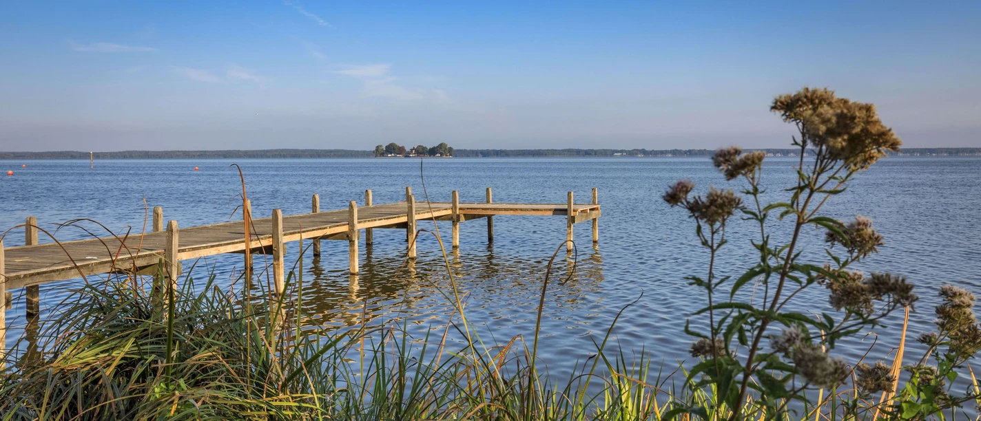 Steg an der Mündung des Hagenburger Kanals Ein Holzsteg ragt in das ruhige Wasser eines Kanals, umgeben von Schilf und blühenden Pflanzen.