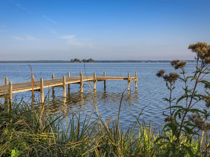 Steg an der Mündung des Hagenburger Kanals Ein Holzsteg ragt in das ruhige Wasser eines Kanals, umgeben von Schilf und blühenden Pflanzen.