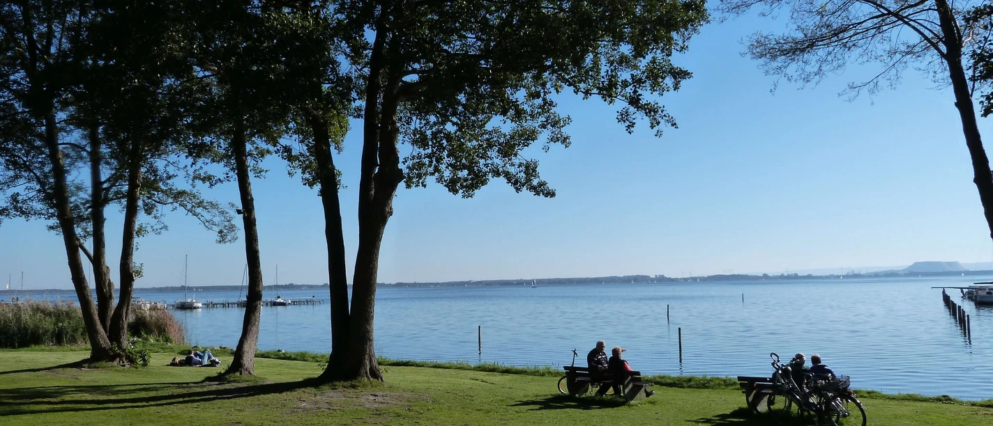 A quiet lake with cyclists and walkers on a meadow under trees in the sunlight.