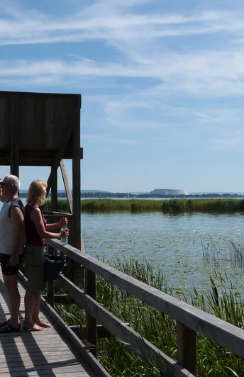 Aussichtsturm Neue Moorhütte Aussichtsturm mit Holzplankensteg, zwei Menschen betrachten einen ruhigen See mit Segelbooten.