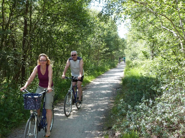 Radfahrer im Moor Zwei fröhliche Radfahrer fahren auf einem schattigen Waldweg zwischen grünen Bäumen im Moor.