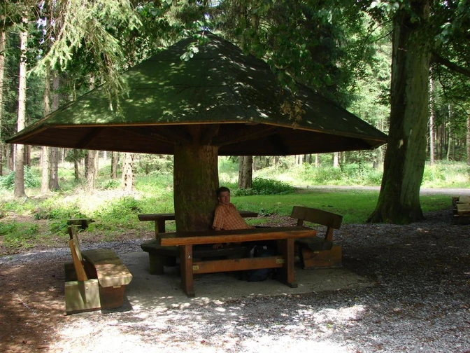 Ein großer Holzpilz bietet Schutz über Tisch und Bänken im schattigen Wald mit ruhiger Atmosphäre.