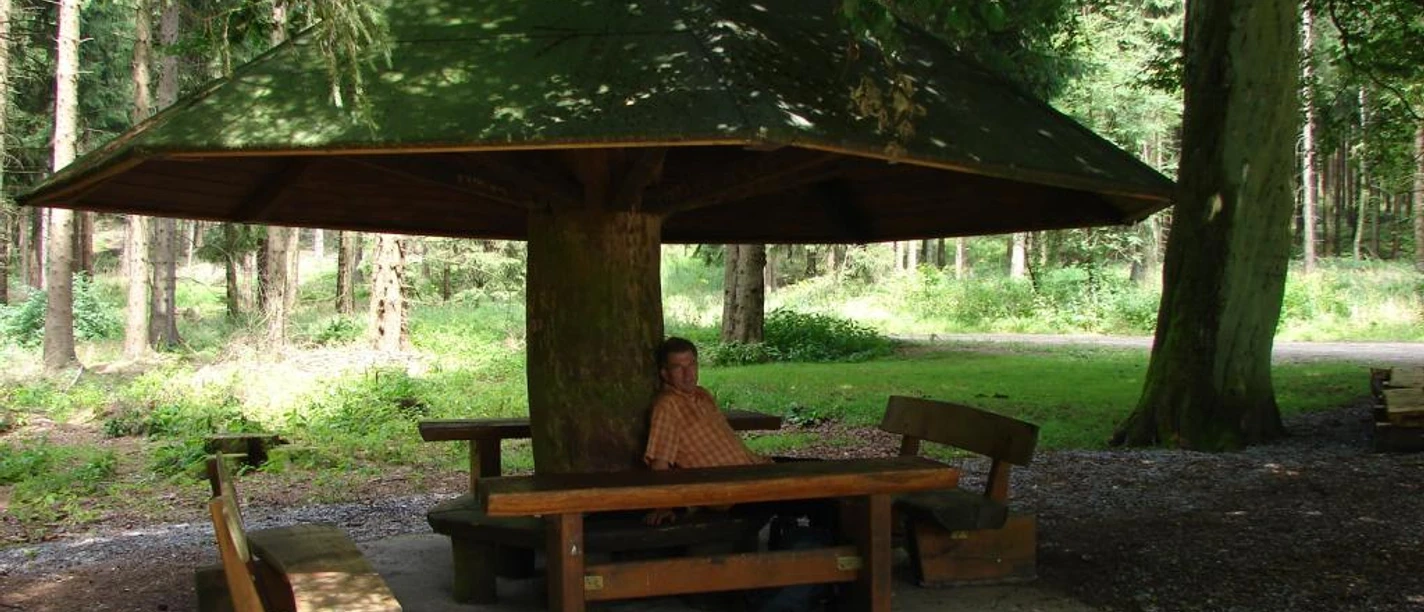 Rast am Buker Pilz Ein großer Holzpilz bietet Schutz über Tisch und Bänken im schattigen Wald mit ruhiger Atmosphäre.