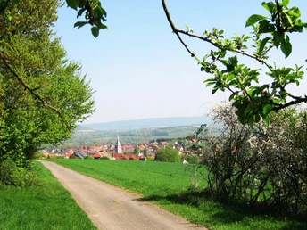 Aussicht vom Kapellenberg Nieheim Blick von einem sanft geschwungenen Hügel auf Nieheim, umgeben von grünen Wiesen und Bäumen.