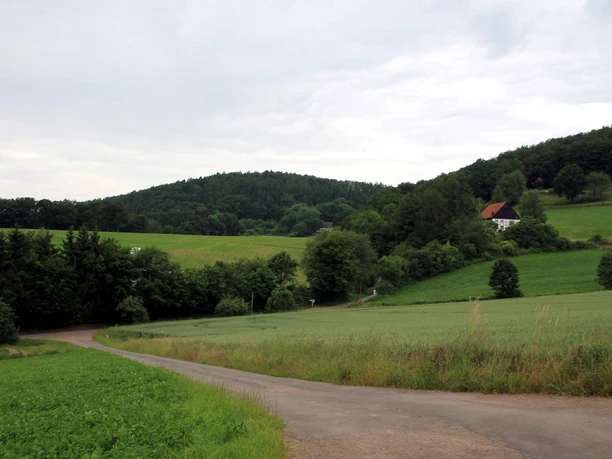Landschaft bei Heidelbeck Grüne Hügel und Felder bei Heidelbeck, im Hintergrund ein einzelnes Bauernhaus am Waldrand.