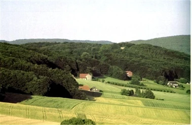 Blick auf grüne Hügel mit Waldstücken und verstreuten Häusern im Eggetal unter blauem Himmel.