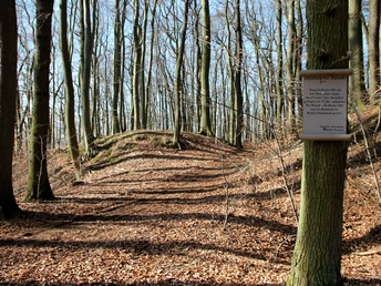 Uffoburg Winterlicher Laubwald mit sichtbarer Erhebung und einem Schild mit historischem Text an einem Baum.
