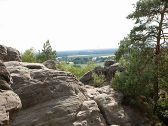 Dörenther Klippen mit Blick in das Münsterland Felsformationen der Dörenther Klippen mit weitem Blick über das Münsterland und winddurchsetzte Kiefern.