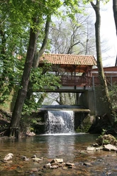 Ein kleiner Wasserfall fließt unter einer hölzernen Brücke hindurch, umgeben von Bäumen.