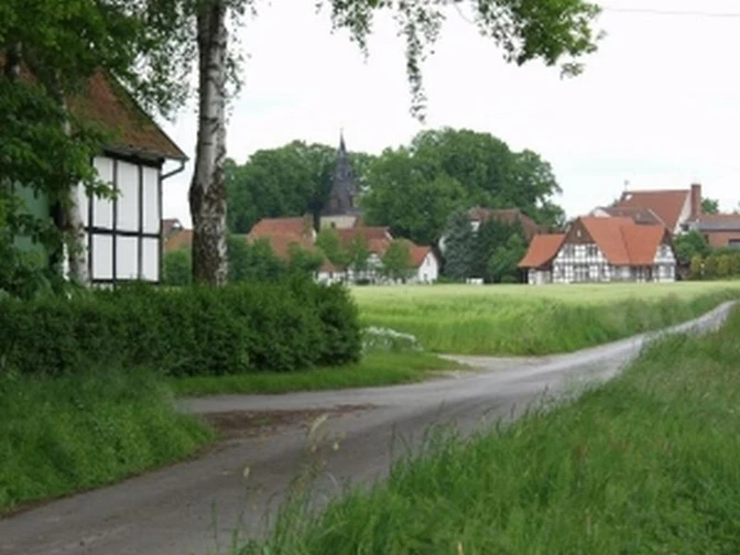 Anfahrt auf Bockhorst Ländliche Szene mit einer schmalen Straße durch grüne Felder und traditionellen Fachwerkhäusern.