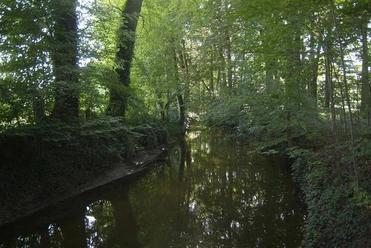 Blick von der Hesselbrücke im Versmolder Naturschutzgebiet Ein ruhiger, schattiger Waldfluss, umgeben von dichtem Grün und hohen Bäumen an einem sonnigen Tag.