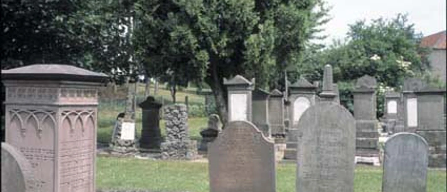 Der Judenfriedhof ist einen Besuch wert. Grabsteine verschiedener Größe und Form auf grüner Wiese, umgeben von Bäumen auf einem Friedhofsareal.
