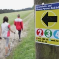 Drei Personen beim Nordic Walking auf einem Waldweg, ein Wegweiser mit Entfernungsangaben im Vordergrund.