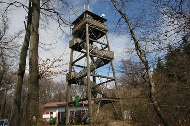 Luisenturm Borgholzhausen Hölzerner Aussichtsturm mit mehreren Plattformen im Wald, eingebettet in eine von Bäumen umgebene Landschaft.