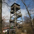 Luisenturm Borgholzhausen Hölzerner Aussichtsturm mit mehreren Plattformen im Wald, eingebettet in eine von Bäumen umgebene Landschaft.