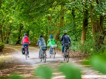 Radfahrer im Patthorster Wald (Steinhagen)