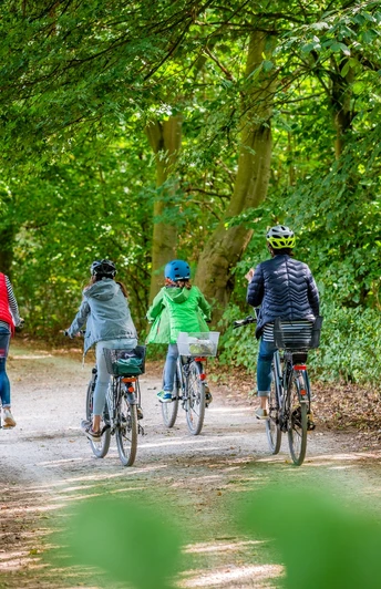 Radfahrer im Patthorster Wald (Steinhagen)