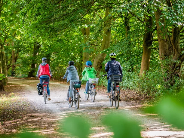 Radfahrer im Patthorster Wald (Steinhagen)