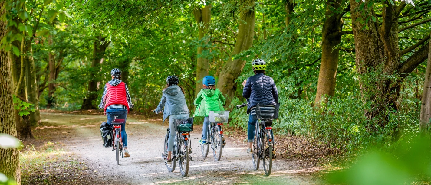Steinhagen - Radfahren durch den Patthorster Wald Radfahrer im Patthorster Wald (Steinhagen)