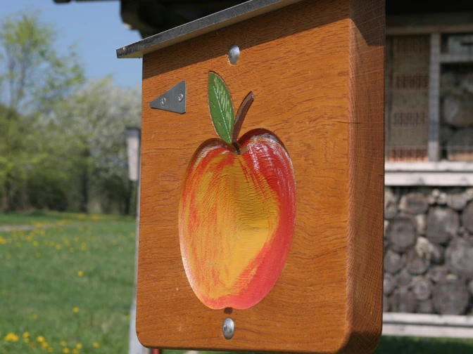 Der Apfel weist den Weg Ein Holzschild mit einem bunten Apfel weist auf einen Wanderweg in ländlicher Umgebung hin.