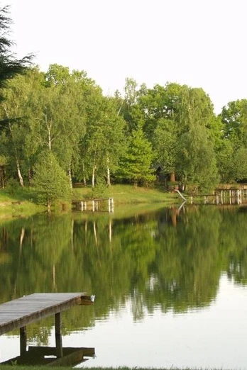 Peckeloher Seenplatte Holzsteg führt über einen ruhigen See, umgeben von grünen Bäumen, die sich im Wasser spiegeln.