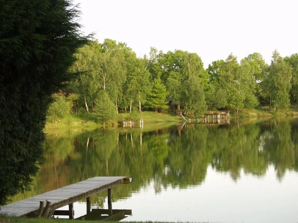 Peckeloher Seenplatte Holzsteg führt über einen ruhigen See, umgeben von grünen Bäumen, die sich im Wasser spiegeln.