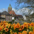 Bunte Blumen im Vordergrund, dahinter ein Kirchturm und Gebäude der Innenstadt bei blauem Himmel.