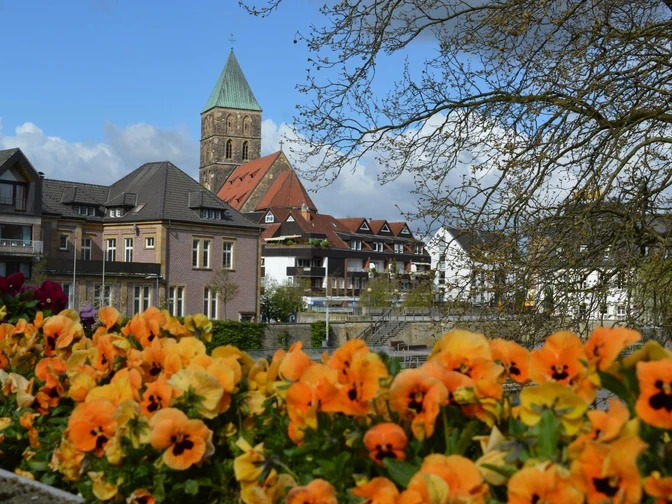 Bunte Blumen im Vordergrund, dahinter ein Kirchturm und Gebäude der Innenstadt bei blauem Himmel.