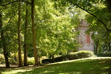 A green park landscape in Rothschild Park with mature trees and a stone tower