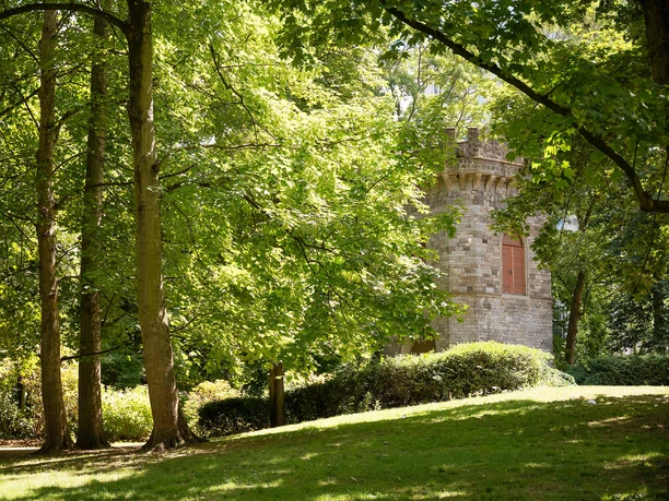A green park landscape in Rothschild Park with mature trees and a stone tower