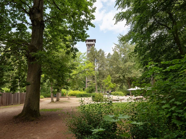 Goetheturm ragt über den grünen Waldspielpark in Frankfurt.