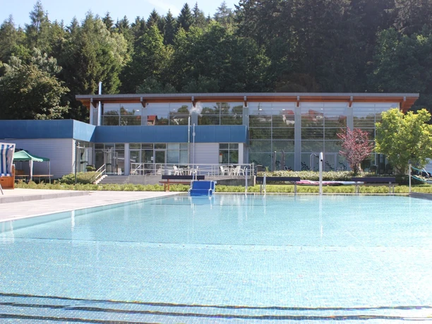 Waldschwimmbad Bad Wünnenberg mit glitzerndem Wasser, umgeben von Bäumen und moderner Architektur.