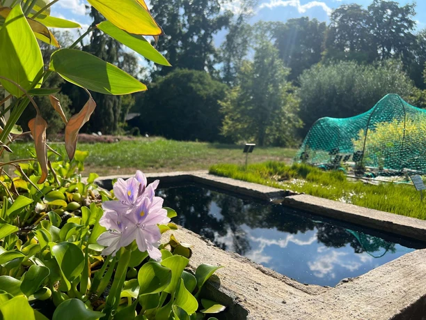 Botanischer Garten der TU Darmstadt