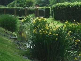 Am Westwall Ein idyllischer Gartenbach fließt gesäumt von gelb blühenden Schwertlilien und gepflegtem Rasen.
