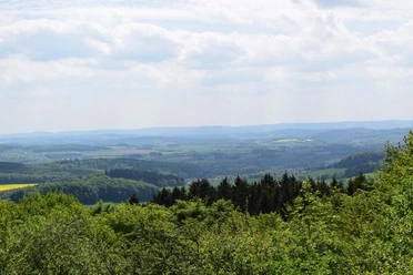 Schwelentrup Weite Landschaft mit grünen Feldern und dichten Wäldern im Vordergrund unter leicht bewölktem Himmel.