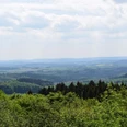 Schwelentrup Weite Landschaft mit grünen Feldern und dichten Wäldern im Vordergrund unter leicht bewölktem Himmel.