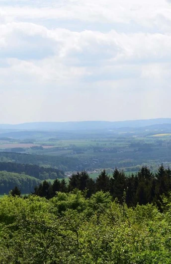 Schwelentrup Weite Landschaft mit grünen Feldern und dichten Wäldern im Vordergrund unter leicht bewölktem Himmel.