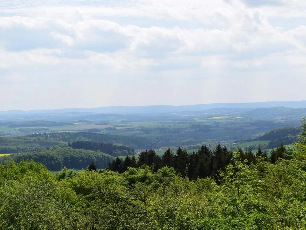 Schwelentrup Weite Landschaft mit grünen Feldern und dichten Wäldern im Vordergrund unter leicht bewölktem Himmel.