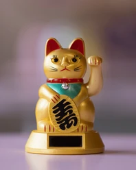 Goldene Glückskatze/Winkekatze auf einem Ausstellungssockel