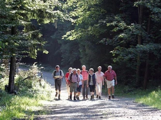 Geführte Wanderung in Bad Driburg Eine Gruppe älterer Wanderer spaziert auf einem sonnenbeschienenen Waldweg in Bad Driburg.