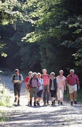 Geführte Wanderung in Bad Driburg Eine Gruppe älterer Wanderer spaziert auf einem sonnenbeschienenen Waldweg in Bad Driburg.