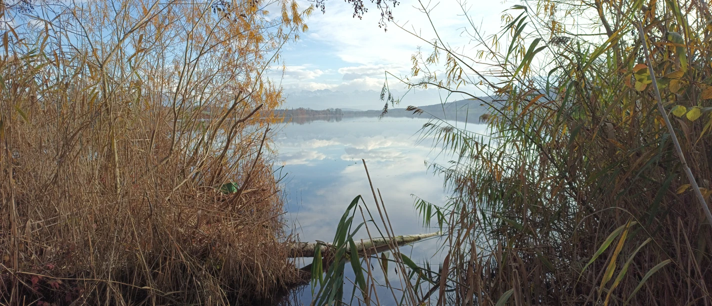 Baldeggersee