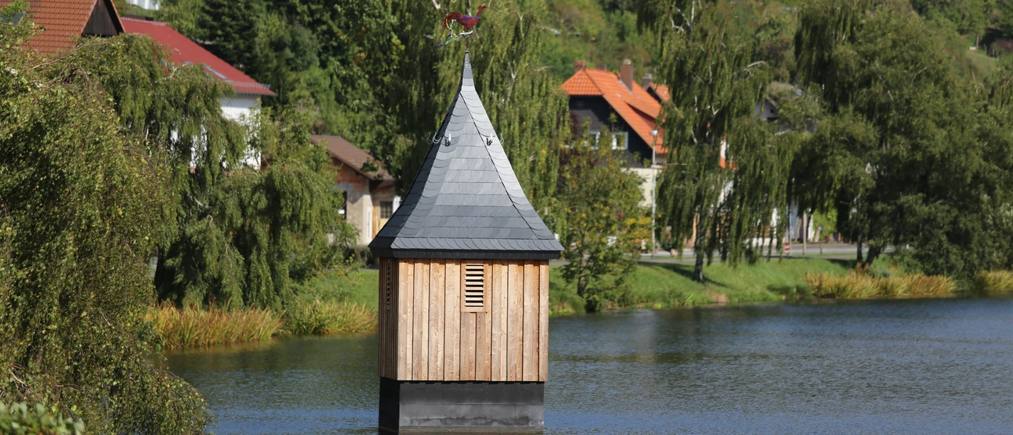 Vogelschlag im Vorstaubecken in Nieder-Werbe